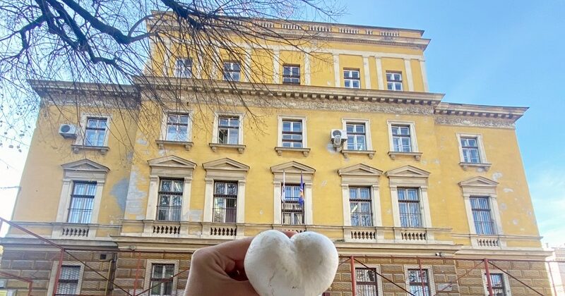 Kada prirodi pristupiš sa pažnjom, ljubavlju i srcem, priroda ti srcem uzvrati