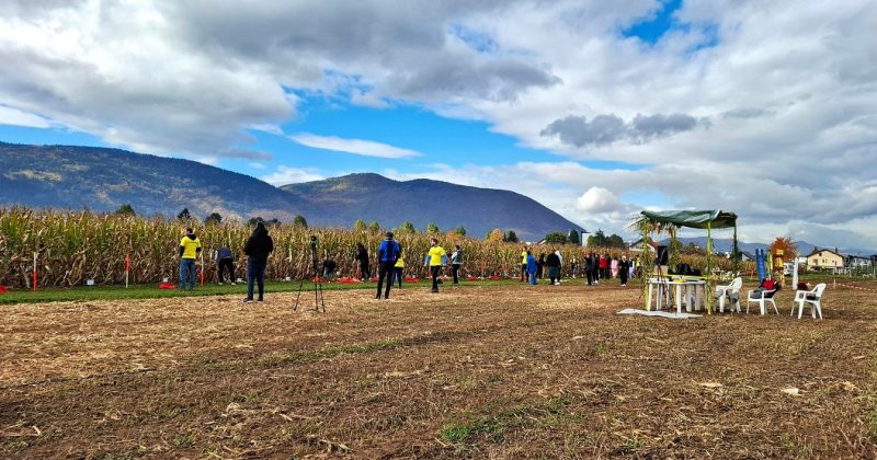 CATCHaCORN takmičenje