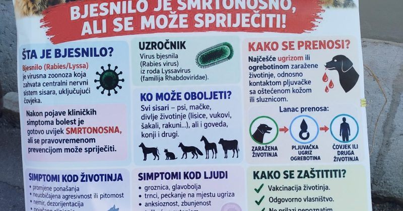 IZVJEŠTAJ O REALIZOVANIM AKTIVNOSTIMA POVODOM SVJETSKOG DANA BORBE PROTIV BJESNILA
